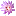 brootflower favicon