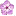 Lilac Flower favicon