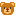 TeddyForXiaoxiao favicon